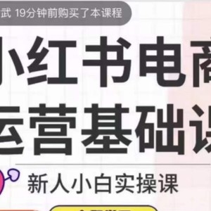 小红书电商运营基础课，新人小白实操课