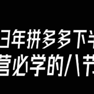 大牙·23年下半年拼多多运营必学的八节课（18节完整）