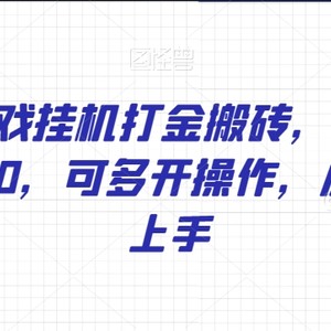 WOW游戏挂机打金搬砖，单号日入150-200，可多开操作，小白轻松上手【揭秘】