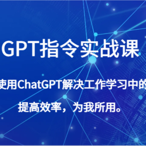 GPT指令实战课，学会使用ChatGPT解决工作学习中的问题，提高效率，为我所用。