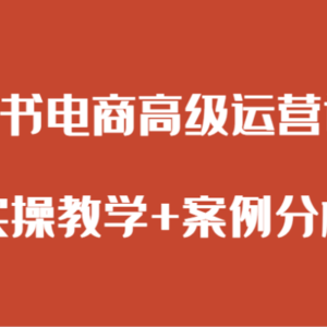 小红书电商高级运营课程 实操教学+案例分析