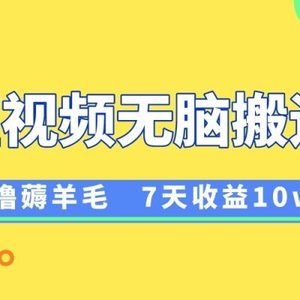 12月最新无脑搬运薅羊毛，7天轻松收益1W，vivo短视频创作收益来袭