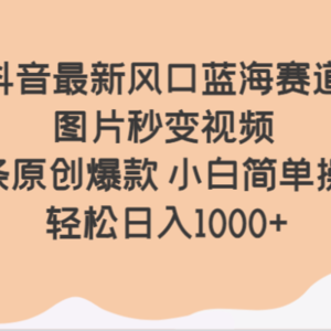 抖音最新风口蓝海赛道 图片秒变视频 条条原创爆款 小白简单操作 轻松日入1000+