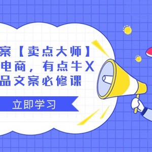 产品文案【卖点大师】高转化电商，有点牛X的 产品文案必修课