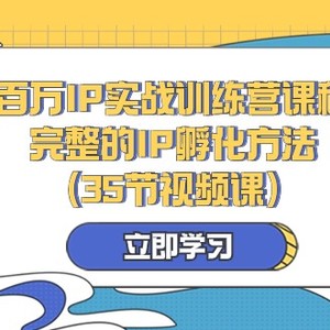 百万IP实战训练营课程，完整的IP孵化方法（35节视频课）