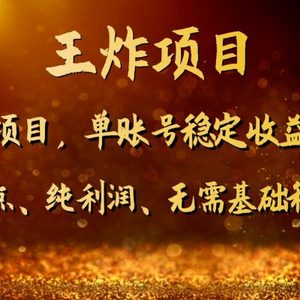 王炸项目！单账号稳定收益300+，适合长期操作的副业兼职。