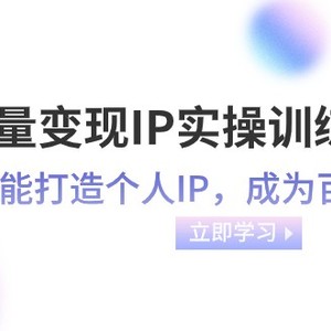 流量变现IP实操训练营：新手也能打造个人IP，成为百万 博主（46节课）