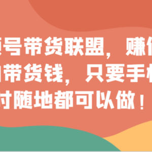 视频号带货联盟，赚信息差的带货钱，只需手机随时随地都可以做！