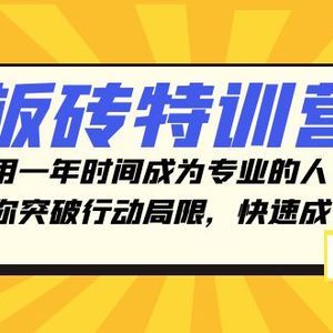 板砖特训营，用一年时间成为专业的人，带你突破行动局限，快速成长