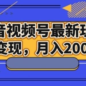 抖音视频号最新玩法，7种变现，月入20000+