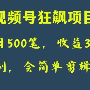 日收款500笔，纯利润3000+，视频号狂飙项目！