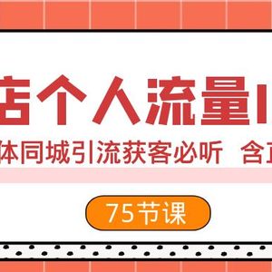 实体店个人流量IP打造 2023实体同城引流获客必听 含直播玩法（75节完整版）