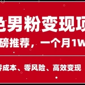 手机操作，月入1W以上副业领袖绿色男粉高客单价项目