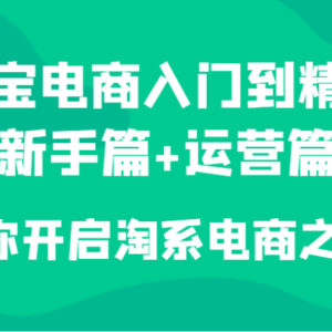 淘宝电商入门到精通（新手篇+运营篇）带你开启淘系电商之路