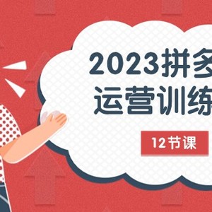 2023拼多多运营训练营：流量底层逻辑，免费+付费流量玩法（12节课）