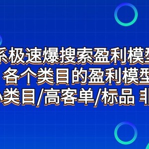 淘系极速爆搜索盈利模型2.0，各个类目的盈利模型，小类目/高客单/标品 非标