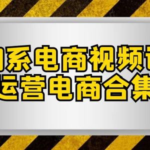 淘系电商视频课，淘宝运营电商合集视频（33节课）