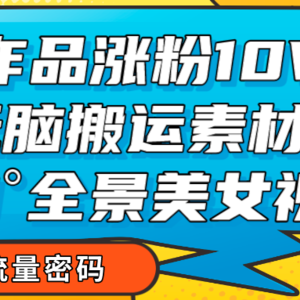 7个作品涨粉10W+，无脑搬运素材，全景美女视频爆款