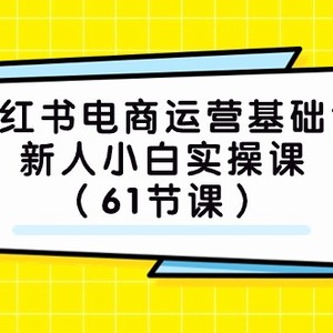 小红书电商运营基础课，新人小白实操课（61节课）