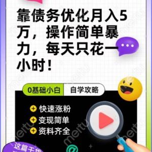 靠债务优化，月入5万，操作简单，多种变现方式，小白必入！