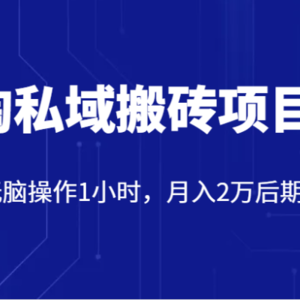 价值2980的淘私域搬砖项目，每天无脑操作1小时，月入2万后期躺赚