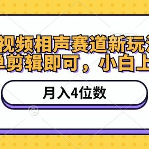 短视频相声赛道新玩法，简单剪辑即可，月入四位数（附软件+素材）