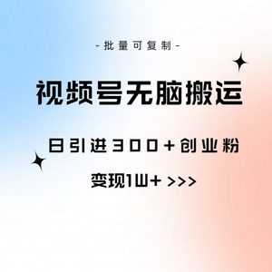 视频号无脑搬运日引300+创业粉，变现1W+可批量复制