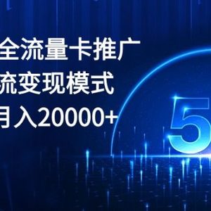 2024全网最全流量卡推广多渠道引流变现模式，小白轻松月入20000+