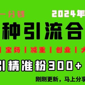 0投入，每天搞300+“同城、宝妈、减重、创业、大学生”等10大流量！