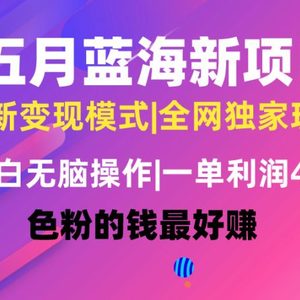 五月蓝海项目全新玩法，小白无脑操作，一天几分钟，矩阵操作，月入4万+