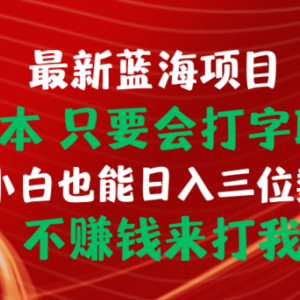 最新蓝海项目 0成本 只要会打字聊天 小白也能日入三位数 不赚钱来打我