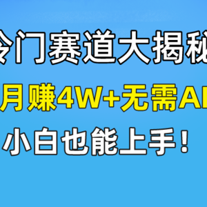 快手无脑搬运冷门赛道视频“仅6个作品 涨粉6万”轻松月赚4W+