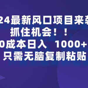 2024最新风口项目来袭，抓住机会，0成本一部手机日入1000+，只需无脑复…