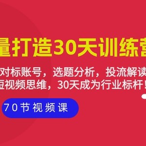 实体-流量打造-30天训练营：个人定位，对标账号，选题分析，投流解读-70节