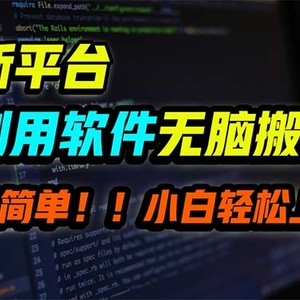 新平台用软件无脑搬运，月赚10000+，小白也能轻松上手