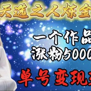 天选之人炼金项目，一个作品涨粉5000+，单号变现3.6w