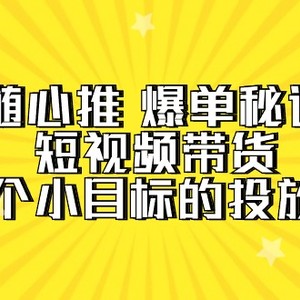 随心推 爆单秘诀，短视频带货-超1个小目标的投放心得（7节视频课）