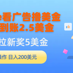 Google看广告撸美金，3分钟到账2.5美金，发帖拉新5美金，多号操作，日入…