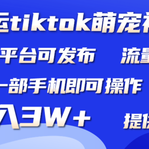 搬运Tiktok萌宠类视频，一部手机即可。所有短视频平台均可操作，月入3W+