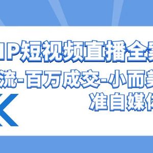 高品质 IP短视频直播-全案课程，有效爆流-百万成交-小而美的精准自媒体赛道