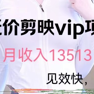 揭秘低价剪映VIP项目，月入13000+