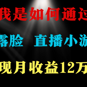 2024年好项目分享 ，月收益15万+，不用露脸只说话直播找茬类小游戏，非…