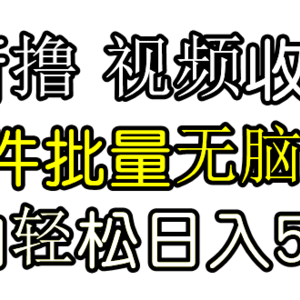 发视频撸收益，软件无脑批量剪辑，第一天发第二天就有钱