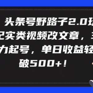 头条号野路子2.0玩法，纪实类视频改文章，3天暴力起号，单日收益轻松破500+