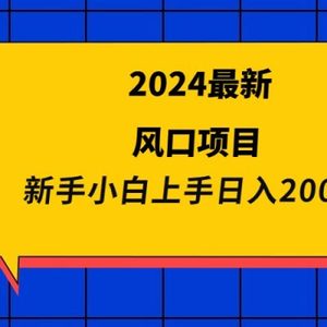 2024最新风口项目 新手小白日入2000+