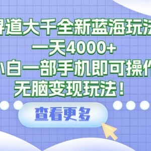 寻道大千全新蓝海玩法，一天4000+，小白一部手机即可操作，无脑变现玩法！