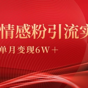 单月变现6w+，情感粉引流变现实操课