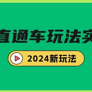 多多直通车玩法实战课，2024新玩法（7节课）