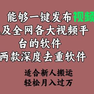 能够一键发布视频号以及全网各大视频平台的软件+两款深度去重软件 适合…