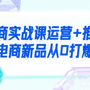 电商实战课运营+推广，电商新品从0打爆（99节视频课）